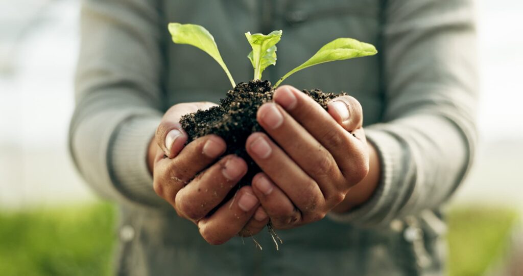 Sustainable Digital Marketing