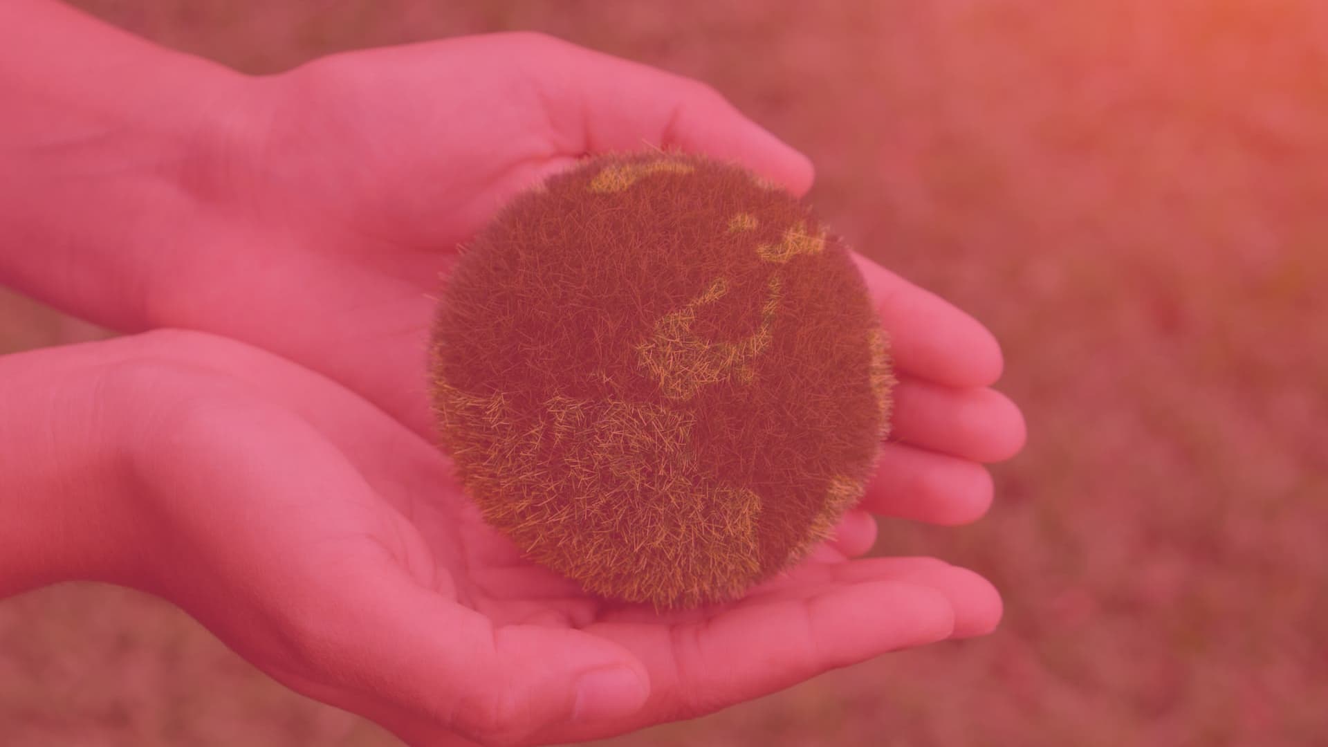 Sustainable Digital Marketing
