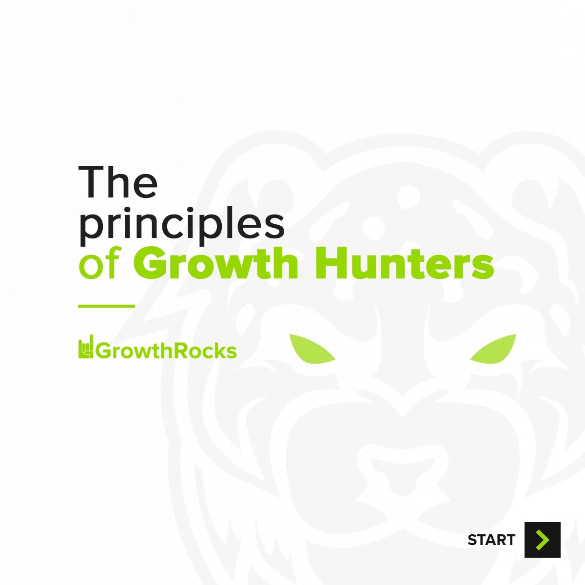 Principles of Growth Hunting