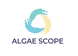 Algae