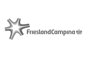 FrieslandCampina Logo 2020 grey